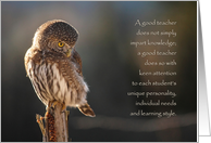 Teacher Thank You Card - Owl in Nature card
