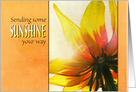 Thinking of You - Sending Sunshine card