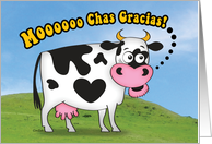 Funny Moooochas Gracias! Cow Thank You Card