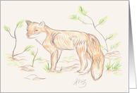 Red fox animal Card