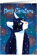 Black & White Cat Watching Snow Fall, Merry Christmas card