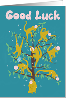 from All of Us Spider Monkeys Funny Good Luck card
