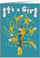 Spider Monkeys Baby Girl Announcement card