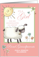 It’s a Girl - Proud Grandparents Announcement - Little Lamb card