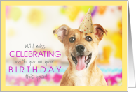 Coronavirus Social Distancing Birthday Miss Celebrating this Year Puppy with Party Hat card