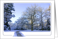 Path through Winter Wonderland - Snow trees woods blank note card