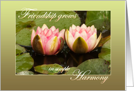 Two pink water lilies close together, opening up - Friendship Harmony card
