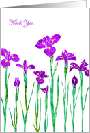 Thank You with Stylized Purple Iris, Elegant Floral Design card