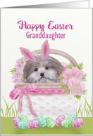 Happy Easter Granddaughter with Pup in Basket Gingham Bow, Flowers card