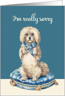 I’m really sorry, Vintage Dog on Blue Tufted Cushion card