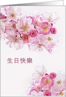 Happy Birthday in Chinese, Blossoms card