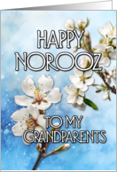 Happy Norooz Almond Blossom to my Grandparents card