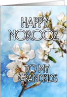 Happy Norooz Almond Blossom to my Grandkids card
