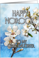 Happy Norooz Almond Blossom to my Granddaughter card