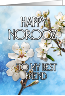 Happy Norooz Almond Blossom to my best Friend card