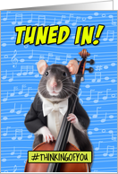 Tuned In Band Camp Cello Rat card