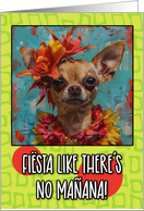 Cinco de Mayo Chihuahua with Flowers card