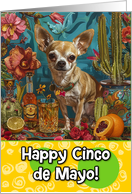 Cinco de Mayo Chihuahua with Tequila card