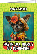 Sister Happy Cinco de Mayo Chihuahua with Taco Hat card
