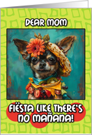 Mom Happy Cinco de Mayo Chihuahua with Taco Hat card
