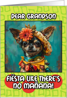 Grandson Happy Cinco de Mayo Chihuahua with Taco Hat card