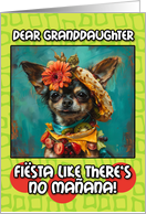 Granddaughter Happy Cinco de Mayo Chihuahua with Taco Hat card