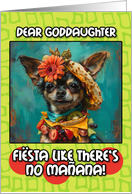 Goddaughter Happy Cinco de Mayo Chihuahua with Taco Hat card