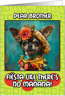 Brother Happy Cinco de Mayo Chihuahua with Taco Hat card