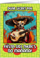 Secret Pal Cinco de Mayo Chihuahua Mariachi with Guitar card