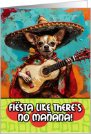 Cinco de Mayo Chihuahua Mariachi with Guitar card