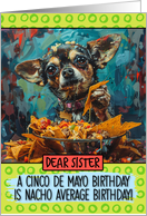 Sister Happy Birhday on Cinco de Mayo Chihuahua with Nachos card