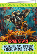 Grandson Happy Birhday on Cinco de Mayo Chihuahua with Nachos card