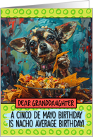 Granddaughter Happy Birhday on Cinco de Mayo Chihuahua with Nachos card