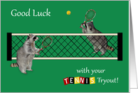 Good Luck, Tryouts, Tennis, general, cute raccoons playing tennis card