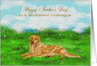 Father’s Day to Colleague with a Golden Retriever Relaxing in a Meadow card