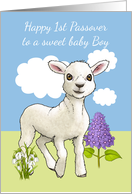 Baby Boy’s First Passover With Little Lamp And Spring Flowers card