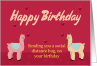 Birthday Card Llama Alpaca Quarantine Coronaviris card