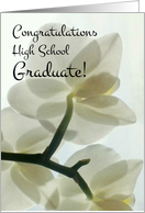 Congratulations High School Graduate - Translucent White Orchid card