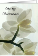 Bridesmaid Invitation Translucent White Orchid in a Misty Dream card