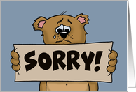 Apology Card With Sad Cartoon Bear Holding A Sign Reading Sorry card