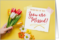 Thinking of You, You Are Missed with Tulip Bouquet card