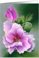 Any Occasion Rose of Sharon Hibiscus Pastel Flower Art Blank card