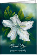 Thank You for Sympathy White Azalea Flower Personalized card