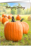 Happy Thanksgiving For Anyone Pumpkin Greetings card