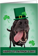 Happy St. Patrick’s Day For Anyone Dog Humor card