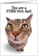 Happy Father’s Day Cute Tabby Cat Humor card