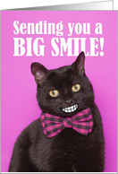 Thinking of You Big Smile Funny Cat Coronavirus Pandemic card