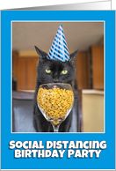 Happy Birthday Cat in Party Hat Coronavirus Social Distancing Humor card