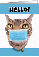 Hello Thinking of You Tabby Cat in Coronavirus Face Mask Humor card