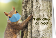 Thinking of You Cute Squirrel in Coronavirus Face Mask card
